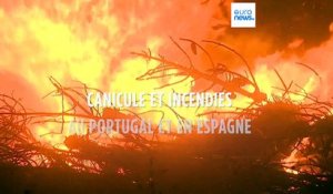 Canicule et incendies frappent le Portugal et l'Espagne