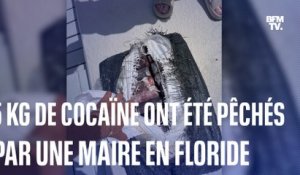 États-Unis: 5 kg de cocaïne ont été pêchés par une maire en Floride