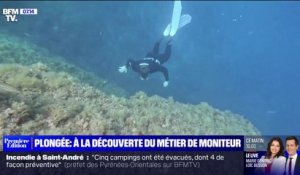 À la découverte du métier de moniteur de plongée près de Cannes