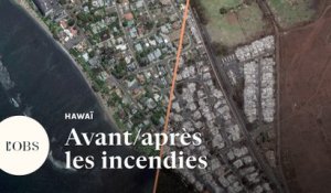 Hawaï : les images satellite avant/après des incendies