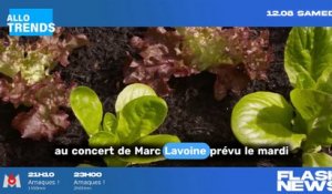 Scandale à Saint-Tropez : Marc Lavoine crée la controverse en excluant des fans de son spectacle.