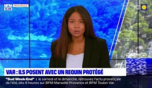 Ces restaurateurs du Var posent tout sourires, pour la 2e fois, avec un requin ensanglanté : L'association Sea Shepherd France annonce porter plainte contre eux et leur restaurant, "Le Gambaro" sur l'île du Levant