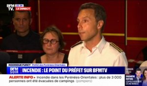 Incendie dans les Pyrénées-Orientales: "Le feu n'est pas fixé à cette heure" affirme le préfet Rodrigue Furcy