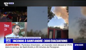 Incendie dans les Pyrénées-Orientales: "Pas de victime à cette heure", assure le préfet Rodrigue Furcy