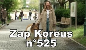 Zap Koreus n°525