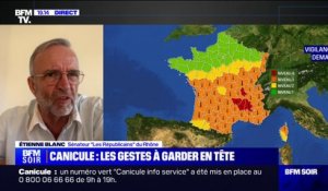 Vigilance rouge canicule: "La France ne peut pas éluder cette question de l'augmentation de ces épisodes de grande canicule", pour Étienne Blanc (sénateur LR du Rhône)