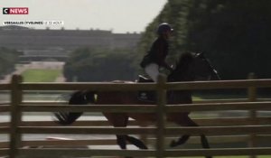 JO-2024 : Versailles se prépare à accueillir les épreuves d'équitation