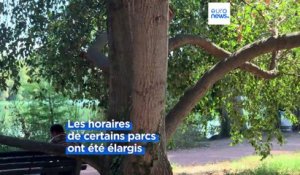 France : la ville de Lyon à l'épreuve de la canicule