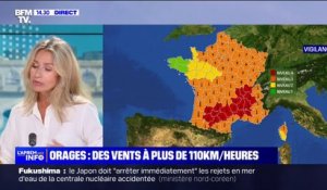 Canicule, orages: plus des trois quarts du pays placés en vigilance par Météo France