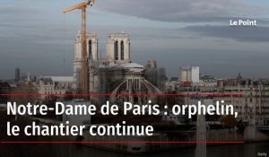 Notre-Dame de Paris : orphelin, le chantier continue