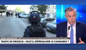 Marc Baudriller : «La dépénalisation n’a pas solutionnée le problème du cannabis»