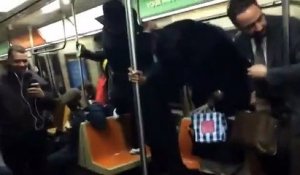 Un rat sème la panique dans le métro de New York