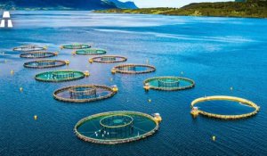 L'Avenir de l'Aquaculture et ses Nouvelles Technologies