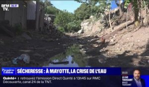 À cause de la sécheresse, Mayotte traverse une crise de l'eau sans précédent