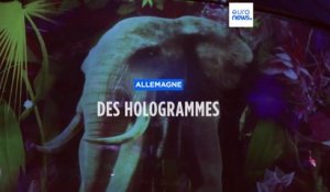 En Allemagne, un cirque remplace les animaux par des hologrammes