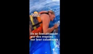 Attaqué par des requins, un Français raconte son sauvetage en Australie