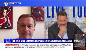 Louis Aliot, maire RN de Perpignan: "Le travail qu'a fait Marine Le Pen à l'Assemblée est en train de payer"