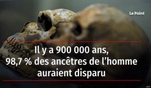 Il y a 900 000 ans, 98,7 % des ancêtres de l’homme auraient disparu