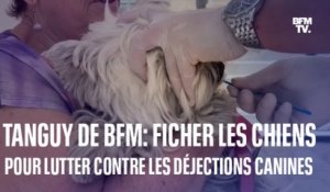 TANGUY DE BFM - À Béziers, les chiens sont fichés pour lutter contre les déjections canines dans la rue