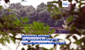 Deux cargos sont arrivés en Ukraine, une première depuis la fin de l'accord céréalier