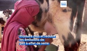 L'élevage durable : trois jours pour trouver des solutions