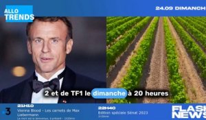 OK. "Avant le discours d'Emmanuel Macron au 20h, une célèbre personnalité française attire l'attention d'Anne-Claire Coudray et Laurent Delahousse !"