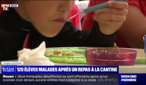 Haute-Garonne: 120 élèves tombent malades après avoir déjeuné à la cantine