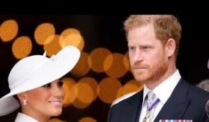 Le prince Harry qualifié de "déconnecté" alors que Duke et Meghan "ostracisés" de la famille royale