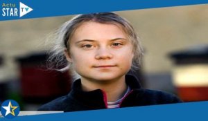 Greta Thunberg : l'influenceur qui l'a provoquée a été arrêté par la police pour traite d'êtres huma