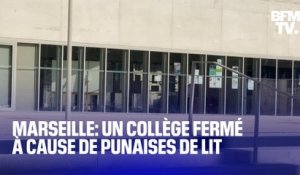 Ce collège de Marseille a été fermé jusqu'à lundi car des punaises de lit ont été aperçues dans les classes