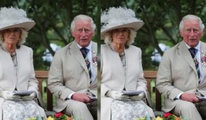 The Crown : le prince Charles et Camilla Parker-Bowles prennent une grande décision à cause de la sé