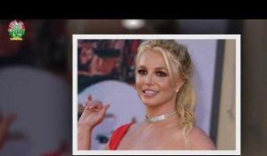 Britney Spears prend la parole face aux juges : la  de sa mise sous tutelle est-elle pour bientôt ?