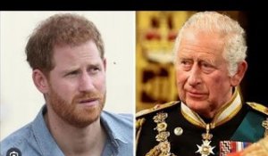Le roi Charles est « si triste » qu'Harry ne le rencontrera pas à l'occasion de l'anniversaire de la