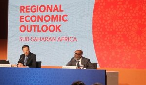 Abebe Aemro Selassie: "Le développement observé en Afrique revient en grande partie à l'innovation"