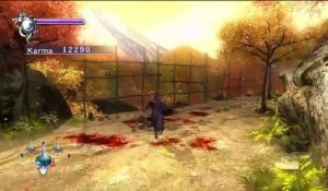 Ninja Gaiden Sigma online multiplayer - ps3