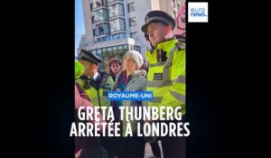 Écologie et pétrole : Greta Thunberg inculpée et jugée en novembre à Londres