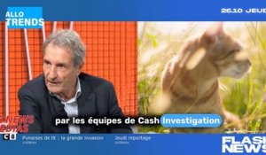"Les attaques sournoises de Jean-Jacques Bourdin envers Élise Lucet et ses méthodes d'investigation"