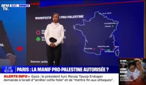 LES ÉCLAIREURS - pourquoi les manifestations pro-Palestine sont-elles interdites à Paris?