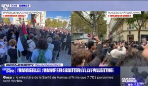 Manifestations pro-Palestine: malgré l'interdiction, de nombreux manifestants rassemblés place du Châtelet à Paris