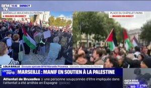 Marseille: "environ 200 manifestants" sont réunis à la Porte d'Aix en soutien au peuple Palestinien