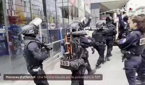 Femme voilée menaçante dans le RER C:  Regardez le moment où les policiers ont fait usage de leurs armes à plusieurs reprises à la station Bibliothèque François Mitterrand - VIDEO
