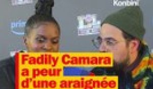 L’araignée balaise qui paye un loyer dans l’immeuble de Fadily Camara et Hakim Jemili 