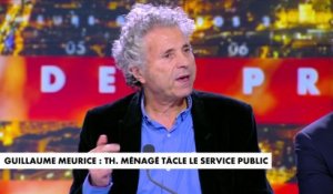 Gilles-William Goldnadel : «C'est un scandale la manière dont Thomas Ménagé a été traité»
