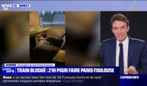 Train Paris-Toulouse bloqué: "Le train a foncé dans un arbre et on est resté jusqu'à 8h30 dans le froid", raconte cette passagère