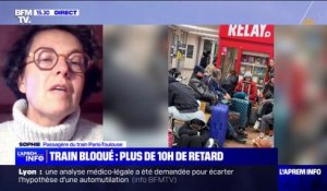Train Paris-Toulouse bloqué: la SNCF "nous informait, mais on voyait qu'ils n'en savaient pas grand-chose eux non plus", raconte Sophie