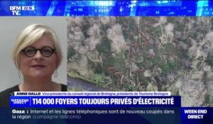 Tempêtes: 18.000 foyers toujours privés d'électricité dans le Morbihan