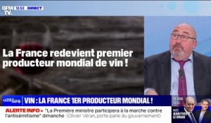 La France redevient le premier producteur de vin au monde, sans augmenter sa production