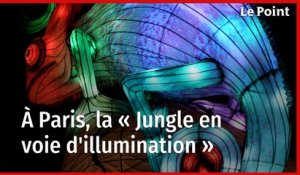 Jardin des Plantes : à Paris, la « Jungle en voie d'illumination »