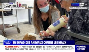 Alpes-Maritimes: dans cet Ehpad, des animaux de la ferme rendent visite aux résidents