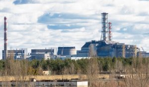 Biodiversité 30 ans après Tchernobyl